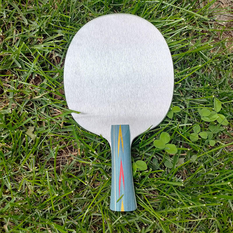 Aluminum Alloy Table Tennis Ba - Badminton Racket Carbon ulasan dan harga